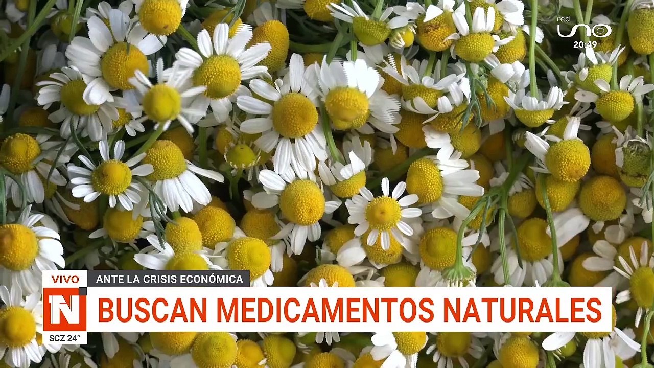 yerbas naturales