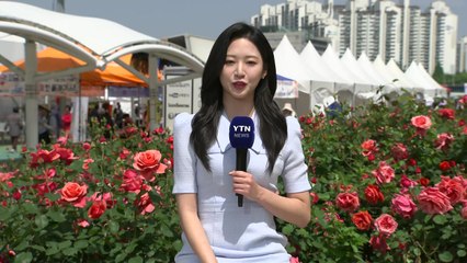 [날씨] 휴일, 완연한 봄 날씨...쾌청한 하늘 즐기는 시민들 / YTN