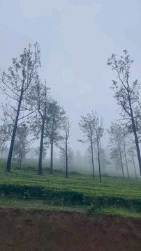 Look at these natural and beautiful sights and feel that everything in nature is unique and priceless. Your heart will be happy.