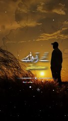 مجھے تم سے محبت ہے