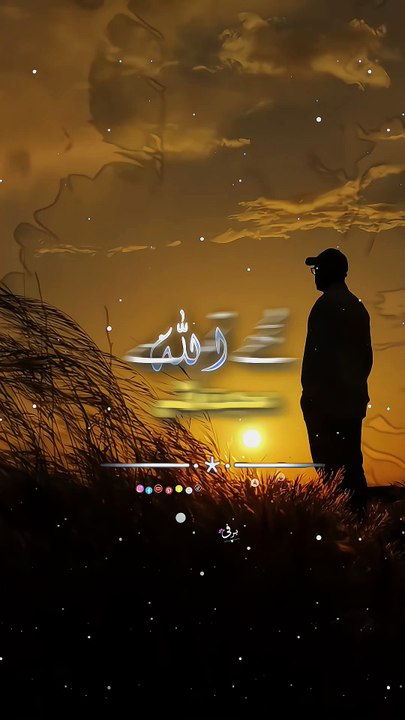 مجھے تم سے محبت ہے
