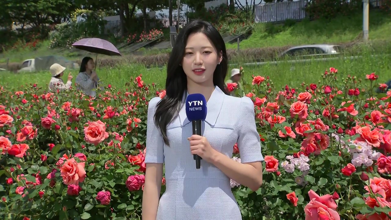 [날씨] 휴일, 맑고 완연한 봄 날씨...강한 자외선 유의 / YTN
