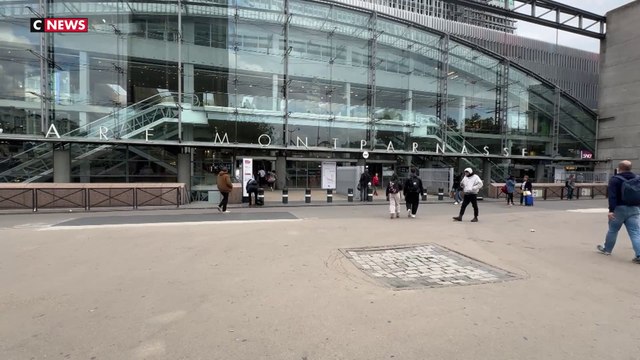 SNCF : les trains seront retardés pour des animaux coincés sur les rails