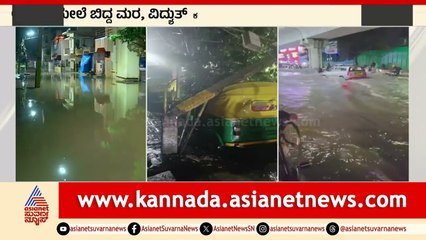 ಚಲಿಸುತ್ತಿದ್ದ  ಆಟೋ ಮೇಲೆ ಬಿದ್ದ ಮರ | Bengaluru Rain | Suvarna News | Kannada News