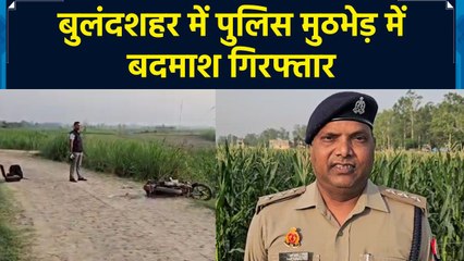 बुलंदशहर में पुलिस मुठभेड़ में बदमाश गिरफ्तार