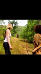 Hollywood Movie Explained: Uncover Hidden Details & Secrets 🎬