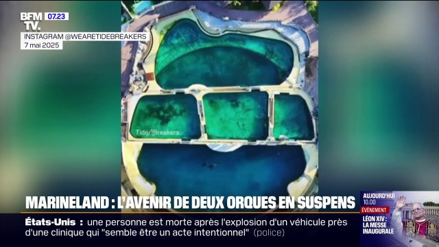 Marineland d'Antibes: des images des deux orques créent l'inquiétude