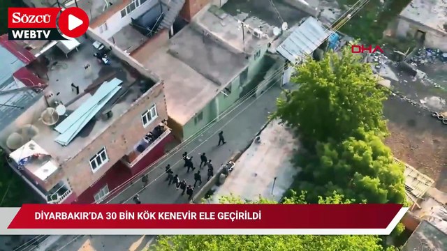 Diyarbakır’da 30 bin kök kenevir ele geçirildi