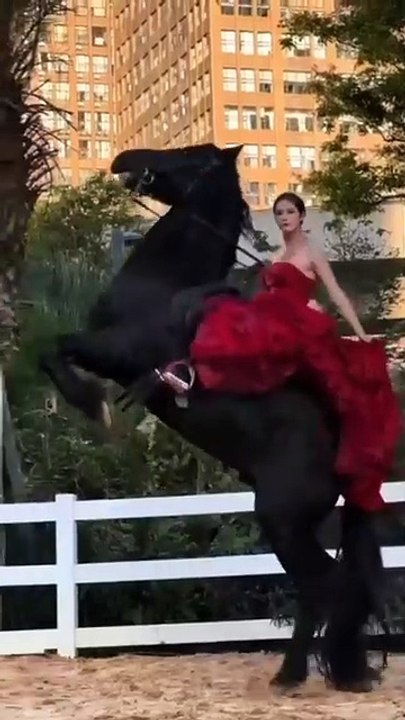 Dunya ka Keemti aur Nayab Horses