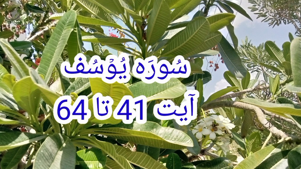 Surah Yusuf | Quran pak ki Tilawat | Quran recitation | recitation of Quran Sharif |