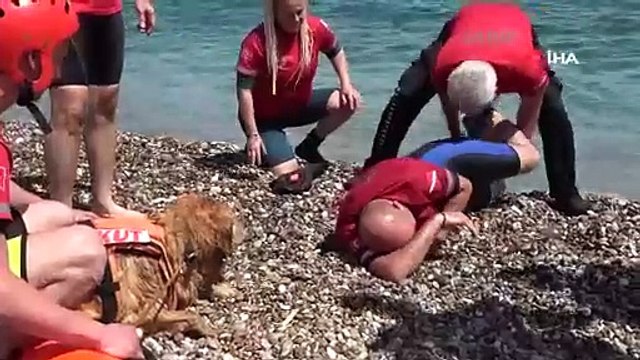 Türkiye’nin ilk sivil sualtı kurtarma köpeği Zeyna, görev için gün sayıyor