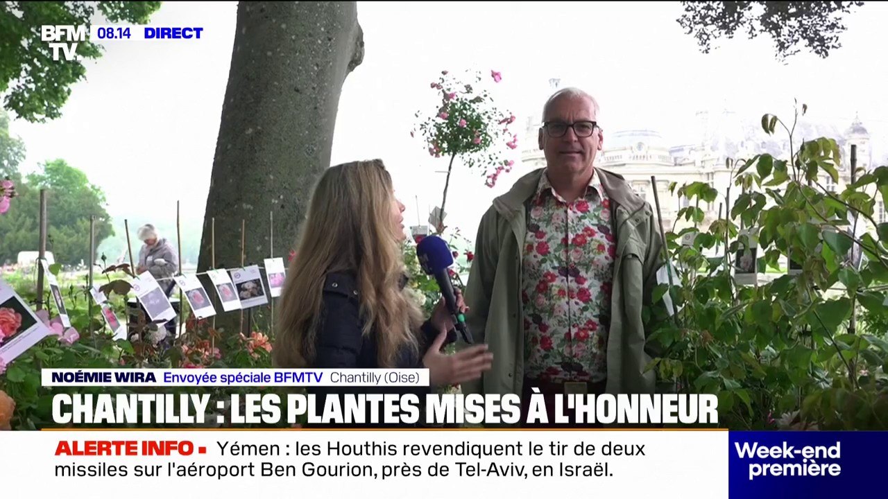 Au château de Chantilly, les plantes mises à l'honneur