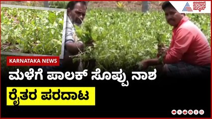 ಚಿತ್ರದುರ್ಗದಲ್ಲಿ ಅಬ್ಬರಿಸಿದ ಮಳೆರಾಯ । Chitradurga Rains  | Suvarna News | Kannada News