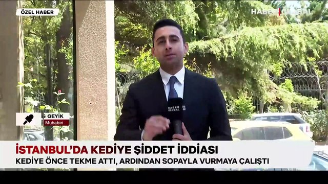 İstanbul'da kediye tekmeli saldırı: Savcılığın takipsizlik kararına itiraz