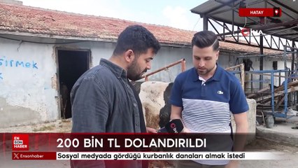 Hatay'da kurbanlık danaları almak isterken 200 bin TL dolandırıldı