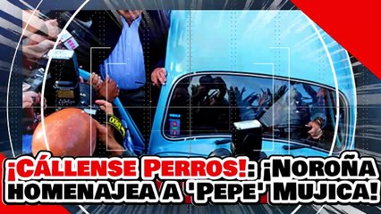 🔥🚨¡CÁLLENSE PERROS! ¡El PRESIDENTE NOROÑA y el SENADO RINDEN HOMENAJE al PROHOMBRE PEPE MUJICA!