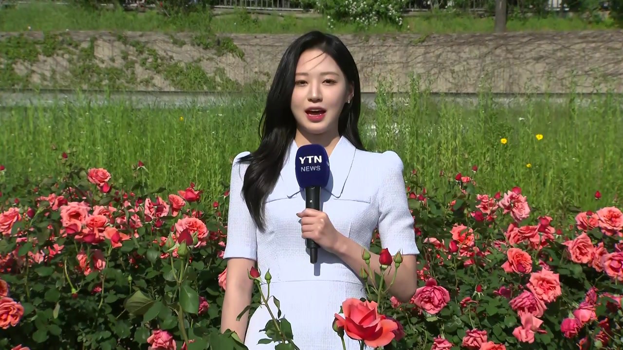 [날씨] 휴일, 맑고 봄볕 강해...내일은 중부 중심 비 / YTN