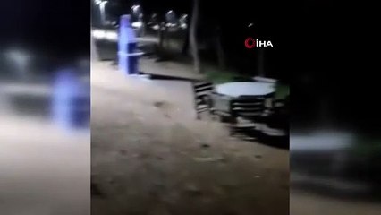 Bursa Kent Ormanı\'nda korku dolu anlar! Pikniklerini domuz sürüsü bastı...