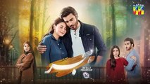 Hijr - Episode 20 Promo - Friday At 08 PM - [ Imran Abbas , Hina Altaf ] - HUM TV