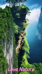 “Three Shades of Nature | A Journey Through Nature’s Beauty”