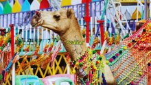 World Festivals Unveiled Where Cultures Celebrate!