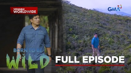 Unexpected Havens- Wild Encounters in Unlikely Places (Full Episode) | Born to be Wild