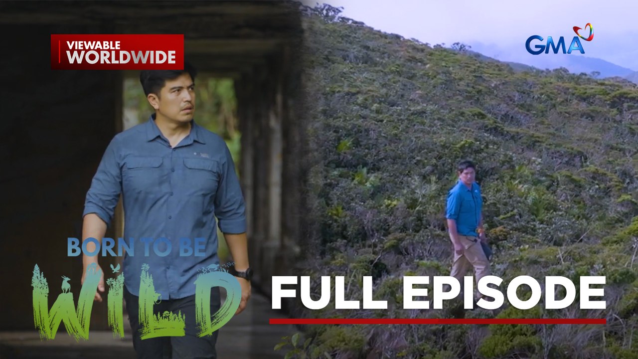 Unexpected Havens- Wild Encounters in Unlikely Places (Full Episode) | Born to be Wild