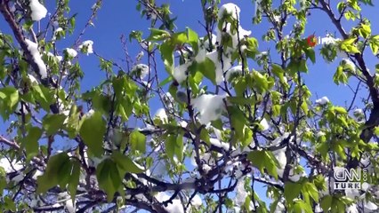 Yeni haftada TBMM'nin gündeminde neler var?