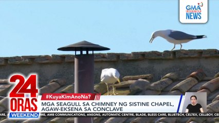 Mga seagull sa chimney ng Sistine Chapel, agaw-eksena sa conclave | 24 Oras Weekend