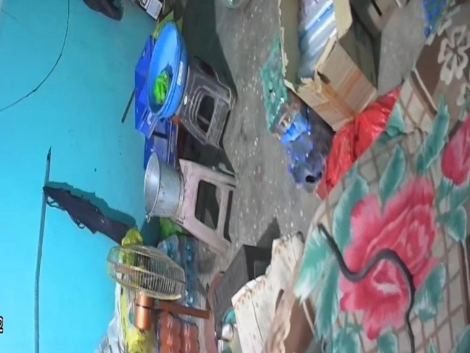 रात में चारपाई पर सो रहा था युवक, सांप ने बिस्तर पर चढ़कर डसा, हुई मौत
