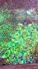 Rolling colorfull bottle on the stair 👻👻👻