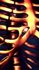 10 Crazy Human Body Facts Every Kid Should Know!
