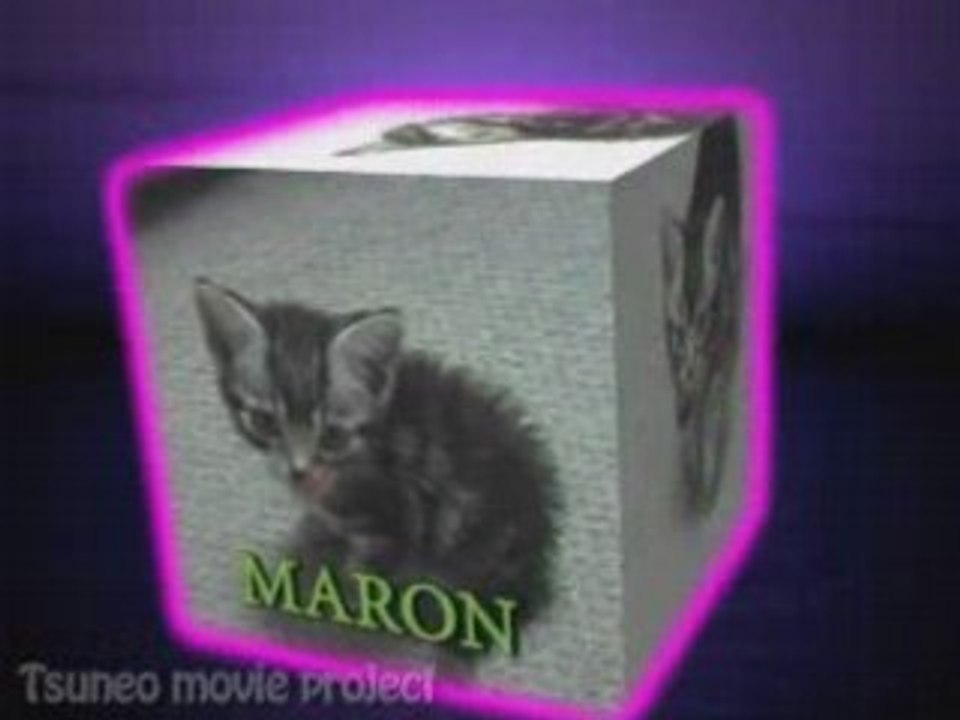 Maron cube