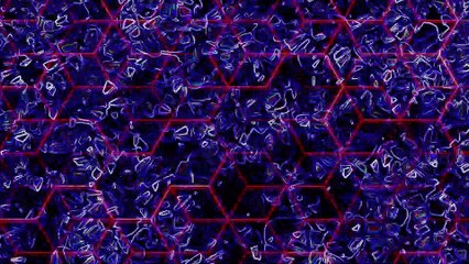 The Oinks - May 18, 2025