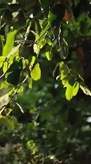 After 10 years apart, they met in bed. She thought it was a game. He fell for real - Chinese  2025