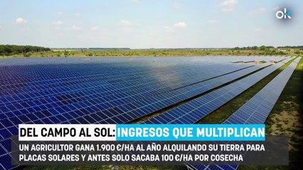 Un agricultor alquila su terreno e instala plantas solares: "Antes ganaba 100 euros por hectárea y ahora..."