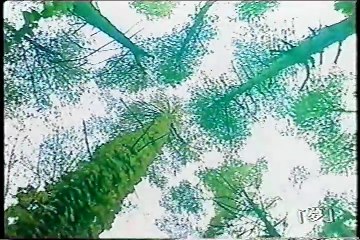 怖い日曜日〜新章〜991205 10 「夢」