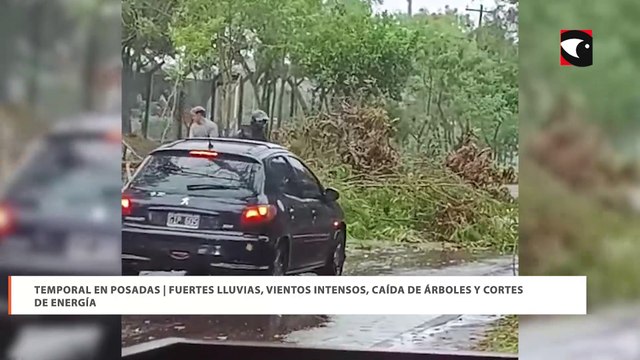 Temporal en Posadas | Fuertes lluvias, vientos intensos, caída de árboles y cortes de energía