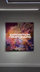 Nouvelle Exposition à Découvrir 🖼️