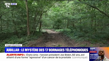 Affaire Jubillar: le téléphone de Cédric Jubillar a borné 17 fois dans une zone boisée non fouillée dans le mois précédent la disparition de sa femme