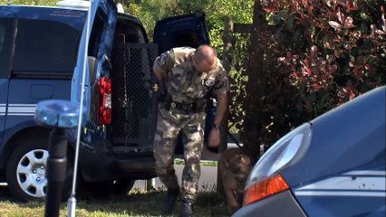 Go-fast, radars, accidents  la guerre de l’autoroute