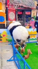 Music and entertainment