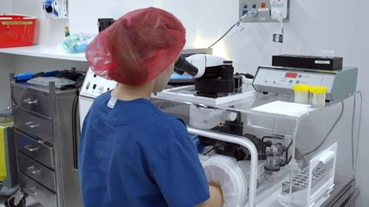 QLD government considers IVF law changes after patients refused treatment