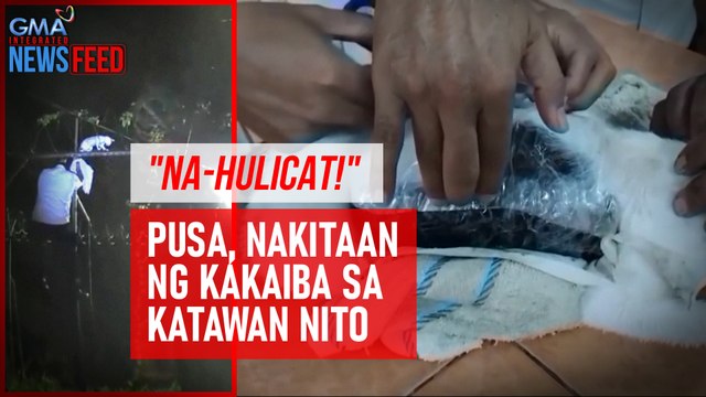 Na-hulicat! Pusa, nakitaan ng kakaiba sa katawan nito | GMA Integrated Newsfeed