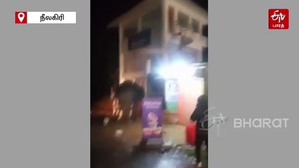 பசிக் கொடுமை.. மூடிய கடைகளுக்கு முன் உணவு வேண்டி காத்திருக்கும் யானை.. ஊட்டியில் நெகிழ்ச்சி