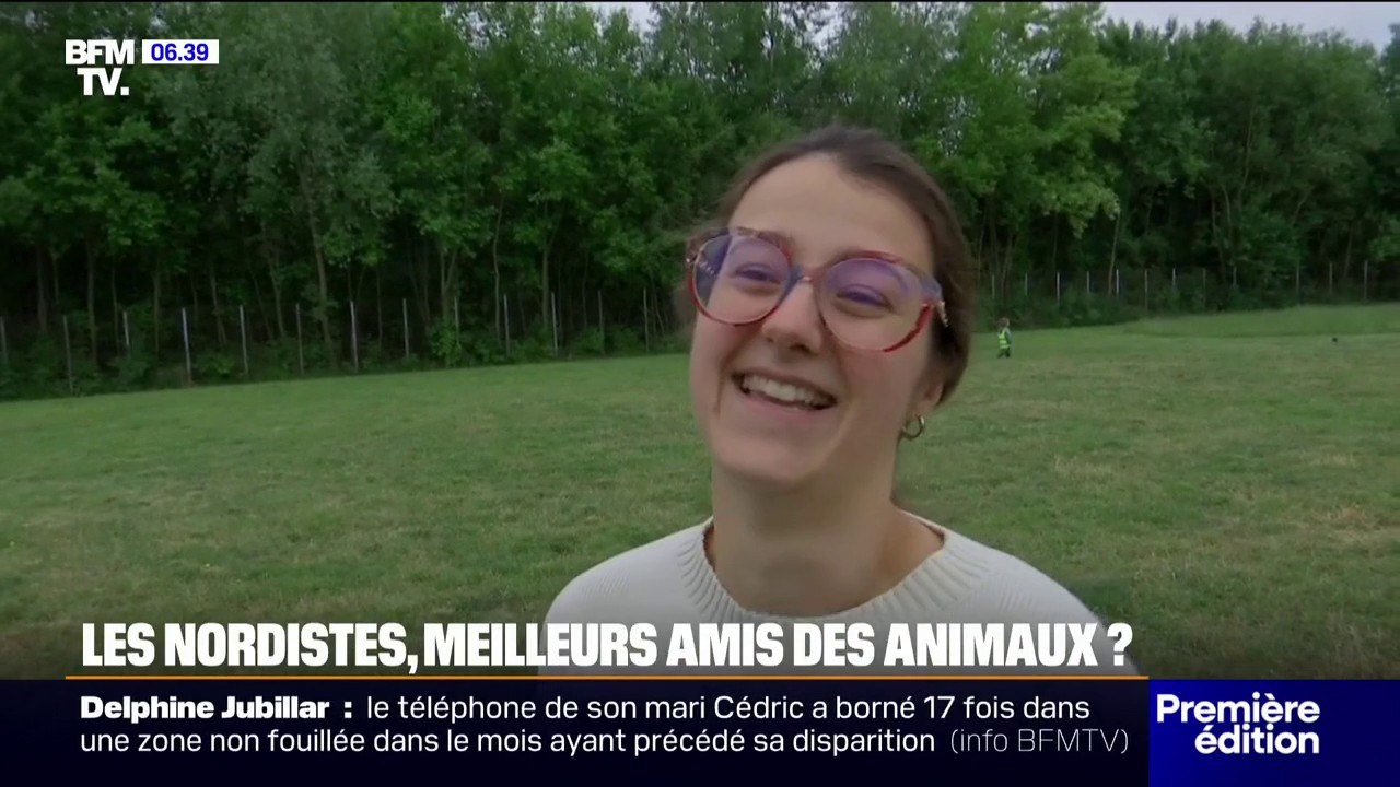 Le Nord et le Pas-de-Calais parmi les départements où les identifications d’animaux sont les plus nombreuses