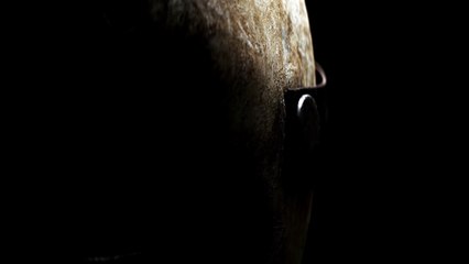 Jason Universe - Presentazione del nuovo logo