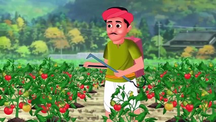 महंगा टमाटर वाला की सफलता | The Success of Expensive Tomato Wala