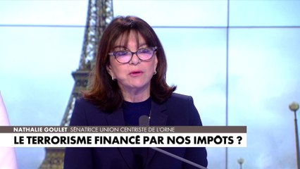 Nathalie Goulet : «Avec les Frères musulmans, on n'est plus dans l'influence mais dans l'ingérence»