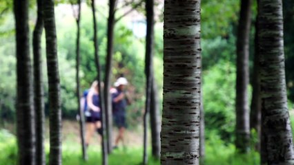 Camino de Santiago - Eine Reise auf dem Jakobsweg | movie | 2015 | Official Trailer